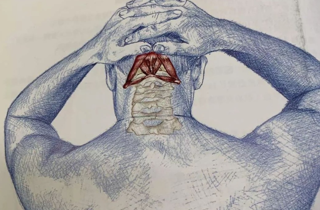 经常低头看手机的颈椎怎么矫正,抬头看手机对颈椎有好处吗