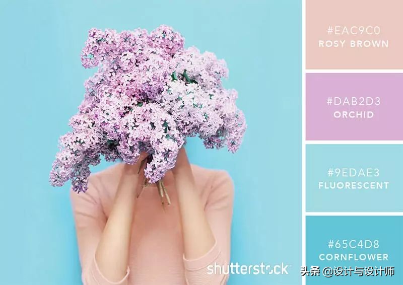 设计色彩总结200字左右,设计配色6种颜色