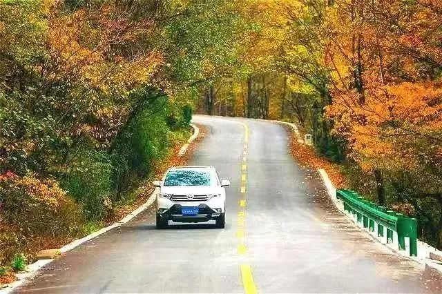 西安自驾秦岭秋色最好的地方,西安自驾一日游的绝佳去处秦岭