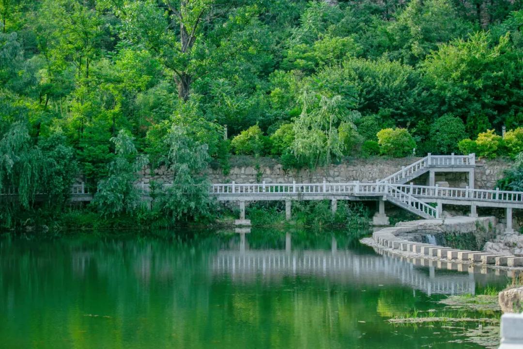 栾川湖景民宿,栾川森林氧吧民宿