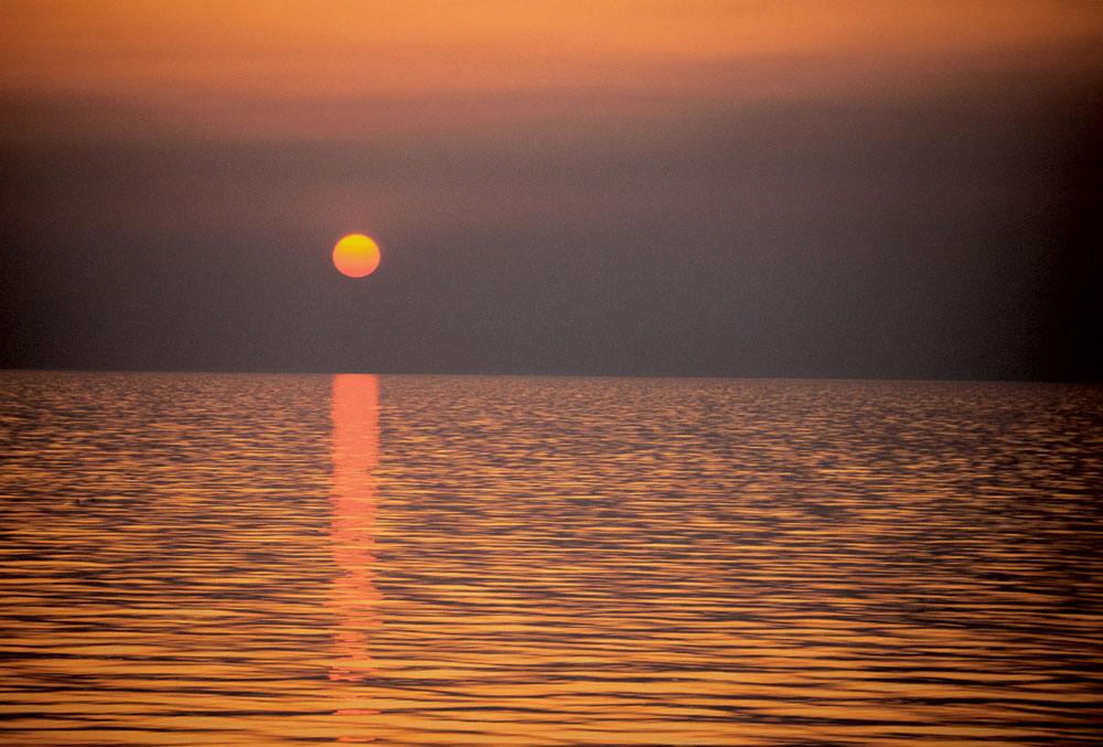 姘翠笂琛屼负璁ゅ畾,鍝簺琛屼负灞炰簬绉侀棷琛屼负