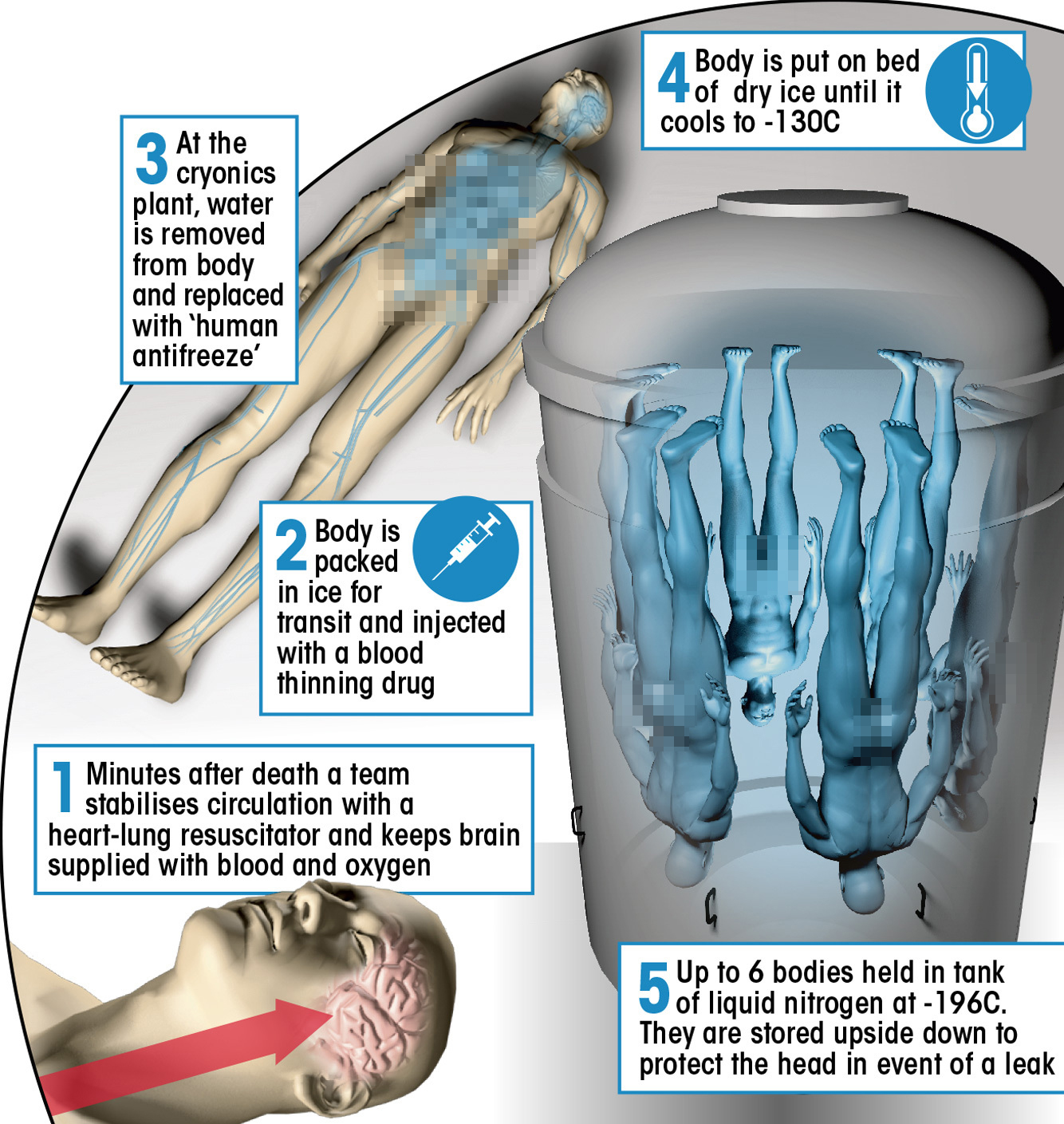 零下196度液氮能存活多久,人掉进液氮会怎么样