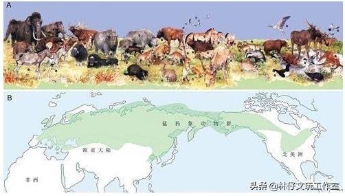 文玩天珠怎么制作的,文玩天珠制作