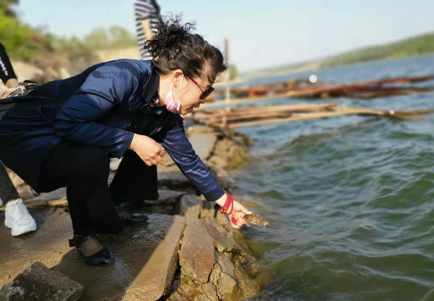 武安放生的鳄鱼找到了吗,武安市通报鳄鱼放生事件