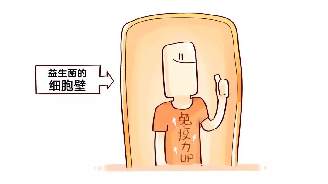 哪种牌子的益生菌好吸收又健康,便宜益生菌和贵的益生菌的区别