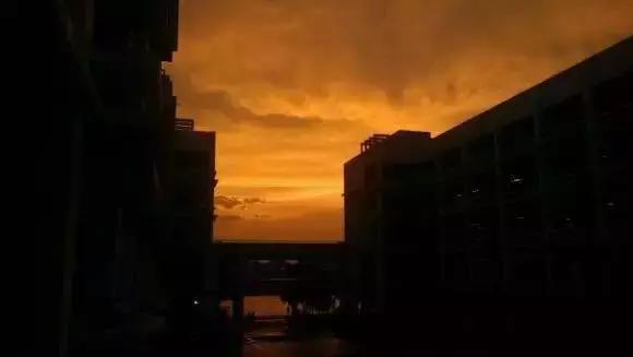 海口市第一中学的简介,海口市第一中学初中好不好