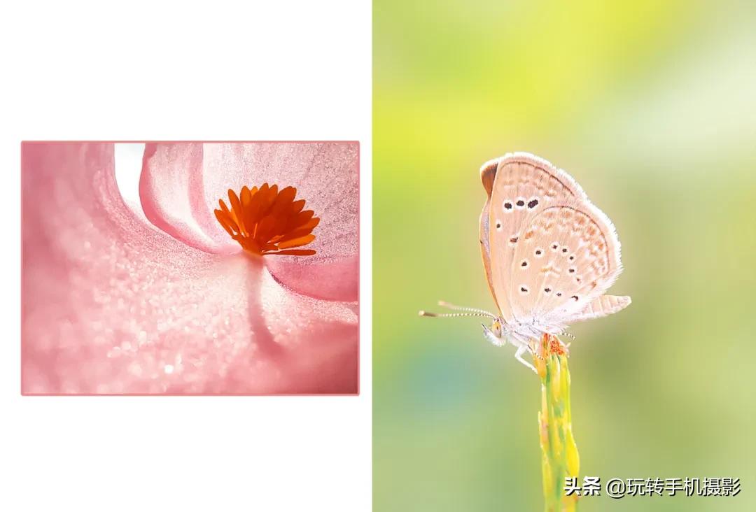 手机怎样拍照更好看而且清晰,手机拍照怎么让背景模糊人物清晰