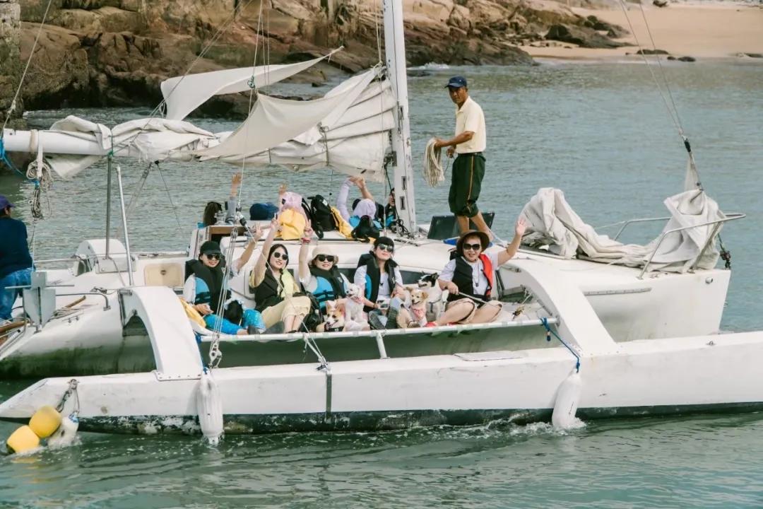 带着自己的宠物去旅行,主人带着狗狗去全世界旅行