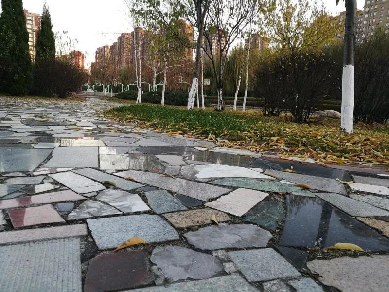 抚顺市第二中学地址,辽宁高级中学