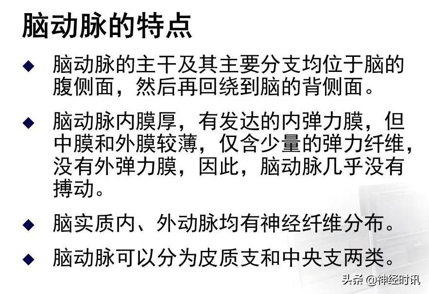 脑动脉解剖学讲解,脑膜中动脉解剖讲解