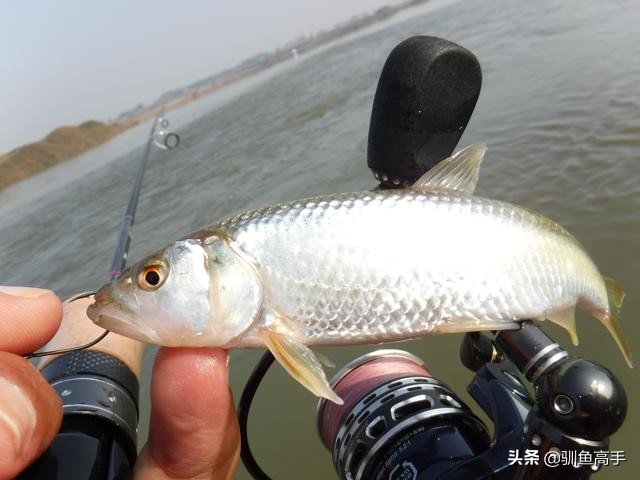 3月份浅水路亚,百闻不如一见美景视频