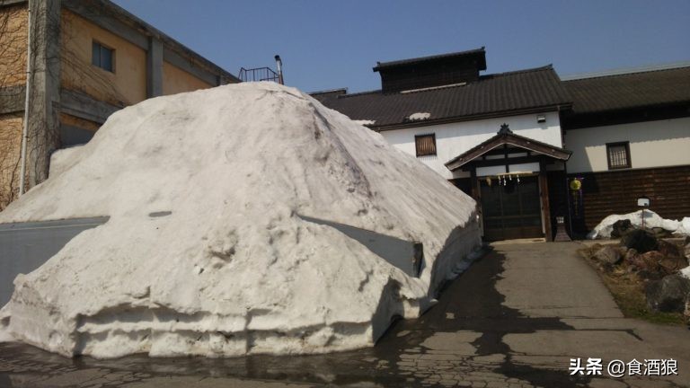 来去酒造喝清酒！玉川酒造见学