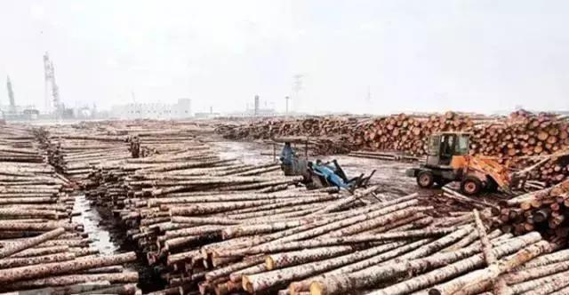 红木家具出口限制,红木木材稀缺的原因