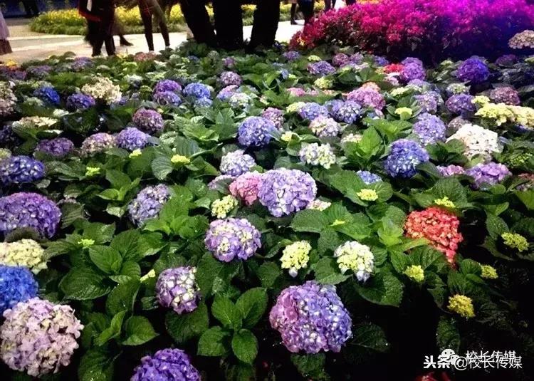 权威遭遇,权威的位置