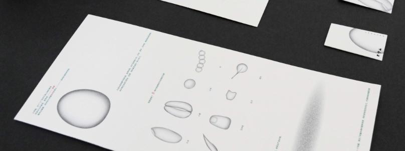 创意鸡蛋礼品盒包装设计,100个经典鸡蛋包装设计