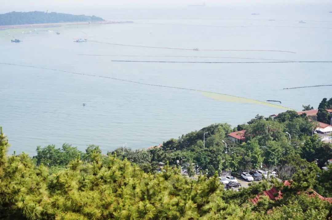 青岛的海给人很惬意,夏天青岛的海边热吗