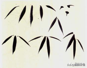 图文教程竹子画法,怎么画竹最简单最好看