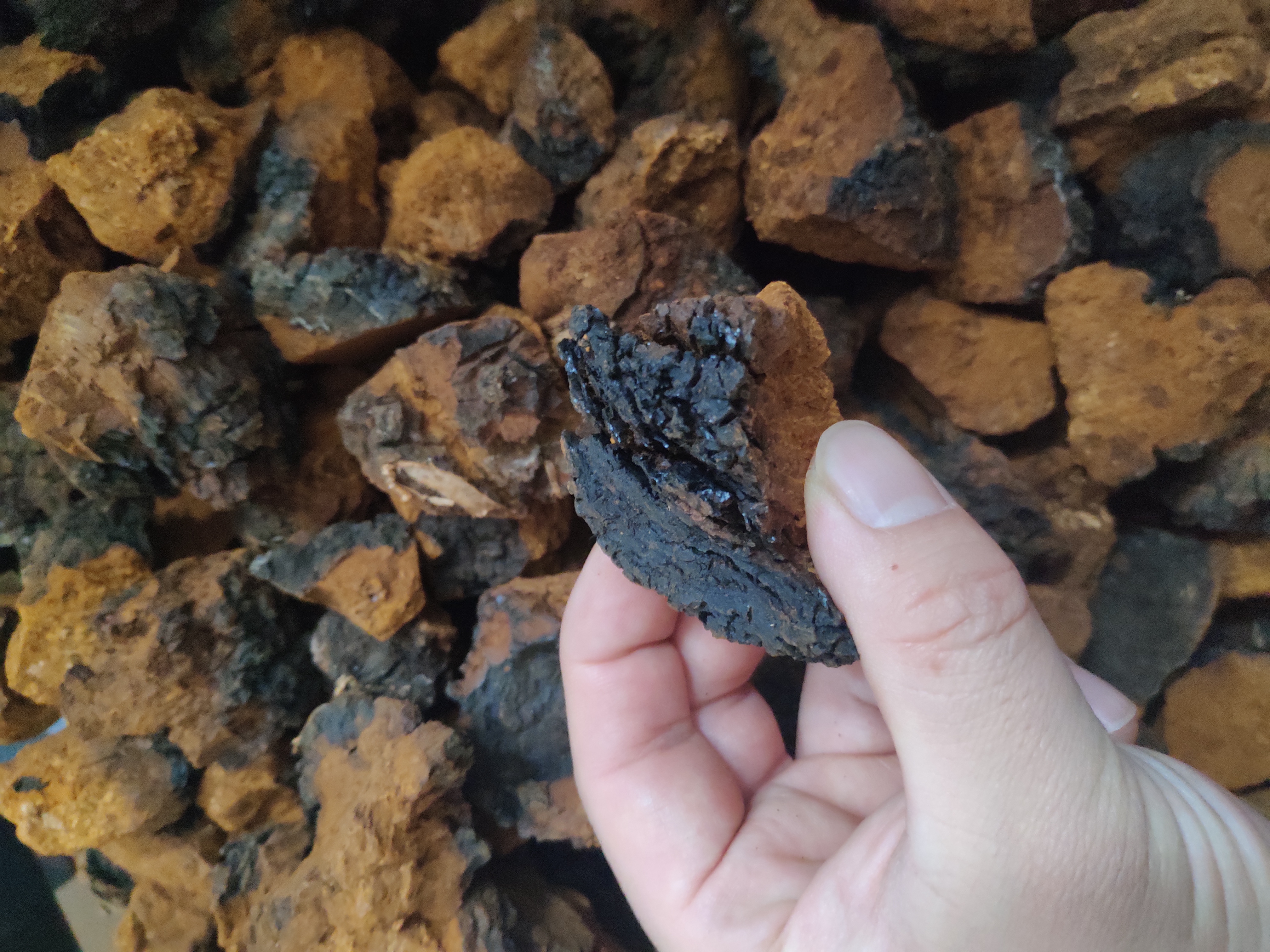 最近很火的一封父亲写给儿子的信,最近很火的钩花