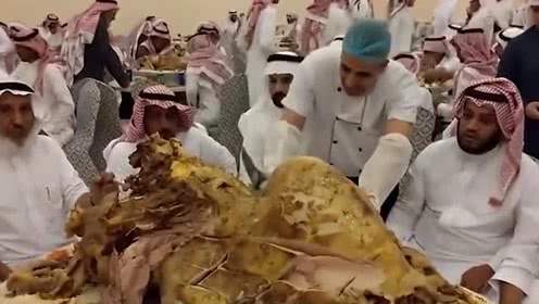 猪的基础知识有哪些,关于猪的冷知识小视频