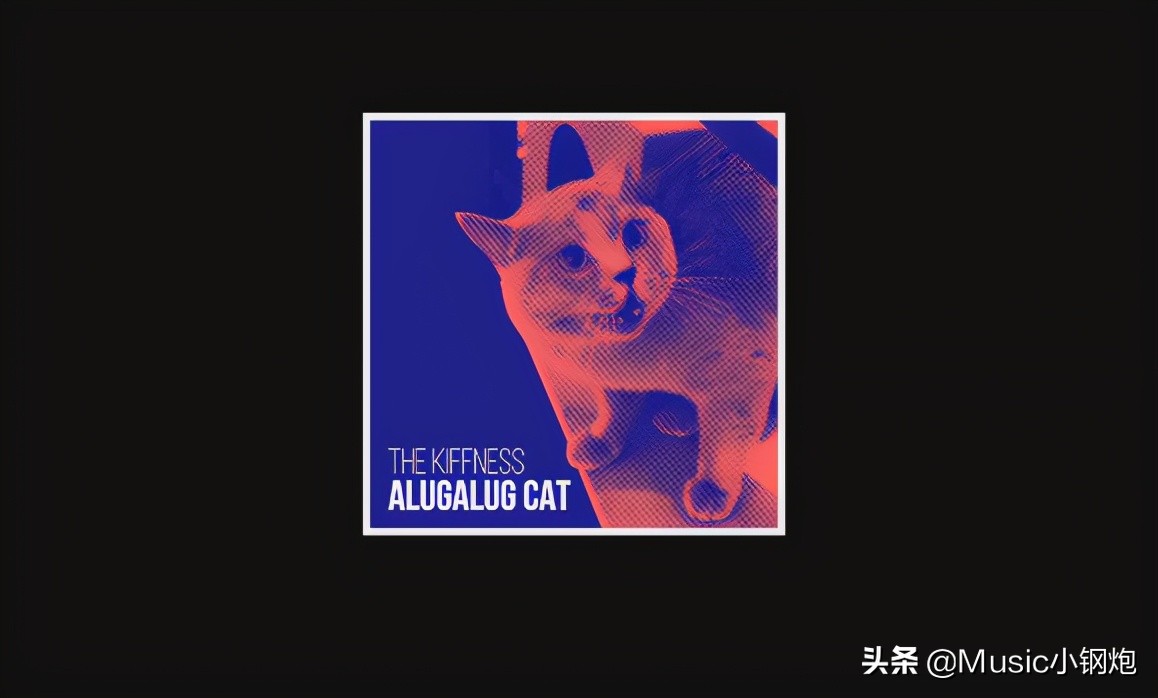 猫咪唱的最魔性的一首歌,愤怒的猫咪神曲