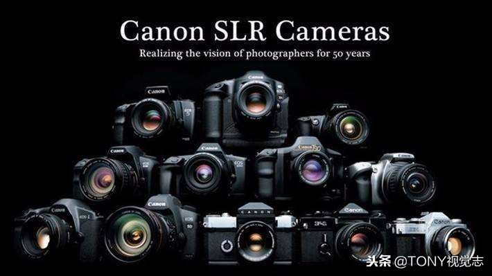 佳能尼康!新手选单反相机,推荐这几款机型,你get到了吗