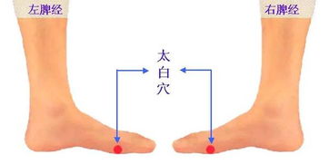 按什么穴位治愈湿疹,按穴位治湿疹