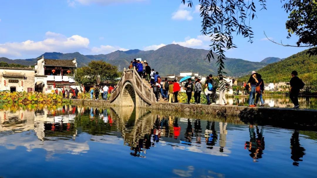 美丽乡村看电视台直播,美丽庭院看乡村直播间