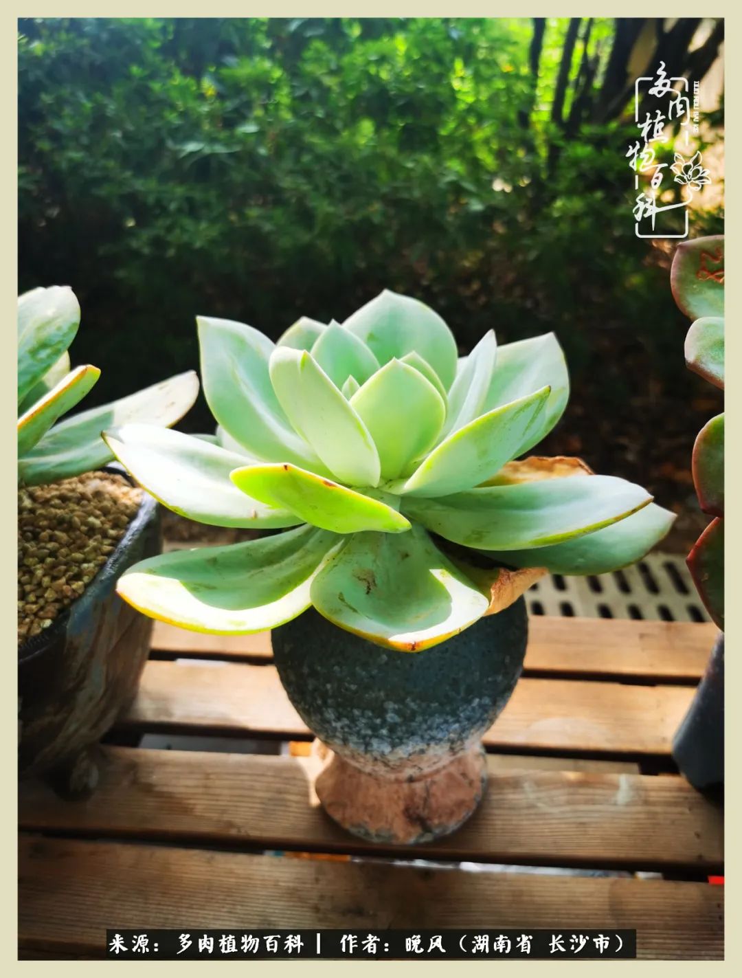 摇身一变成了奶爸,摇身一变成为打工人