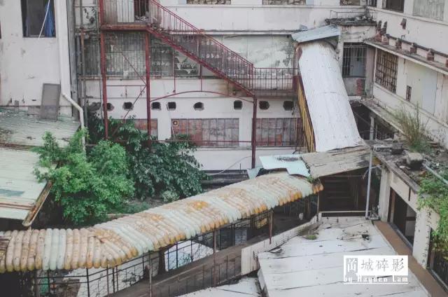 在新会城的中心，有一座时光的废墟