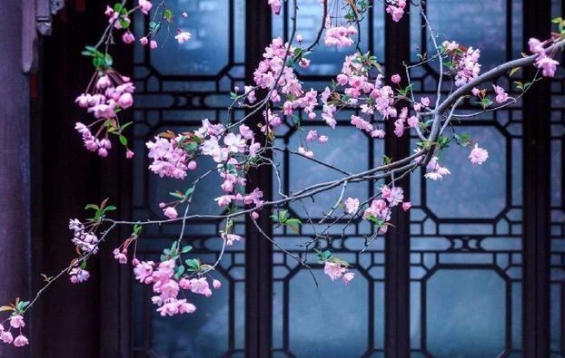 北京哪个同仁堂药店才是正宗,北京同仁堂百年不衰