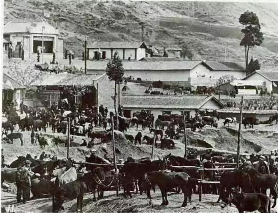 寻找失踪的学者为什么找不到,寻找消失的学者在哪