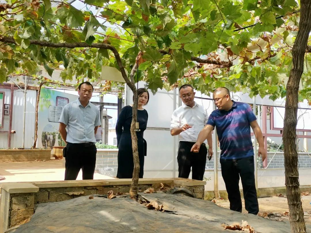 淘金王金合现状,淘金时代王金合