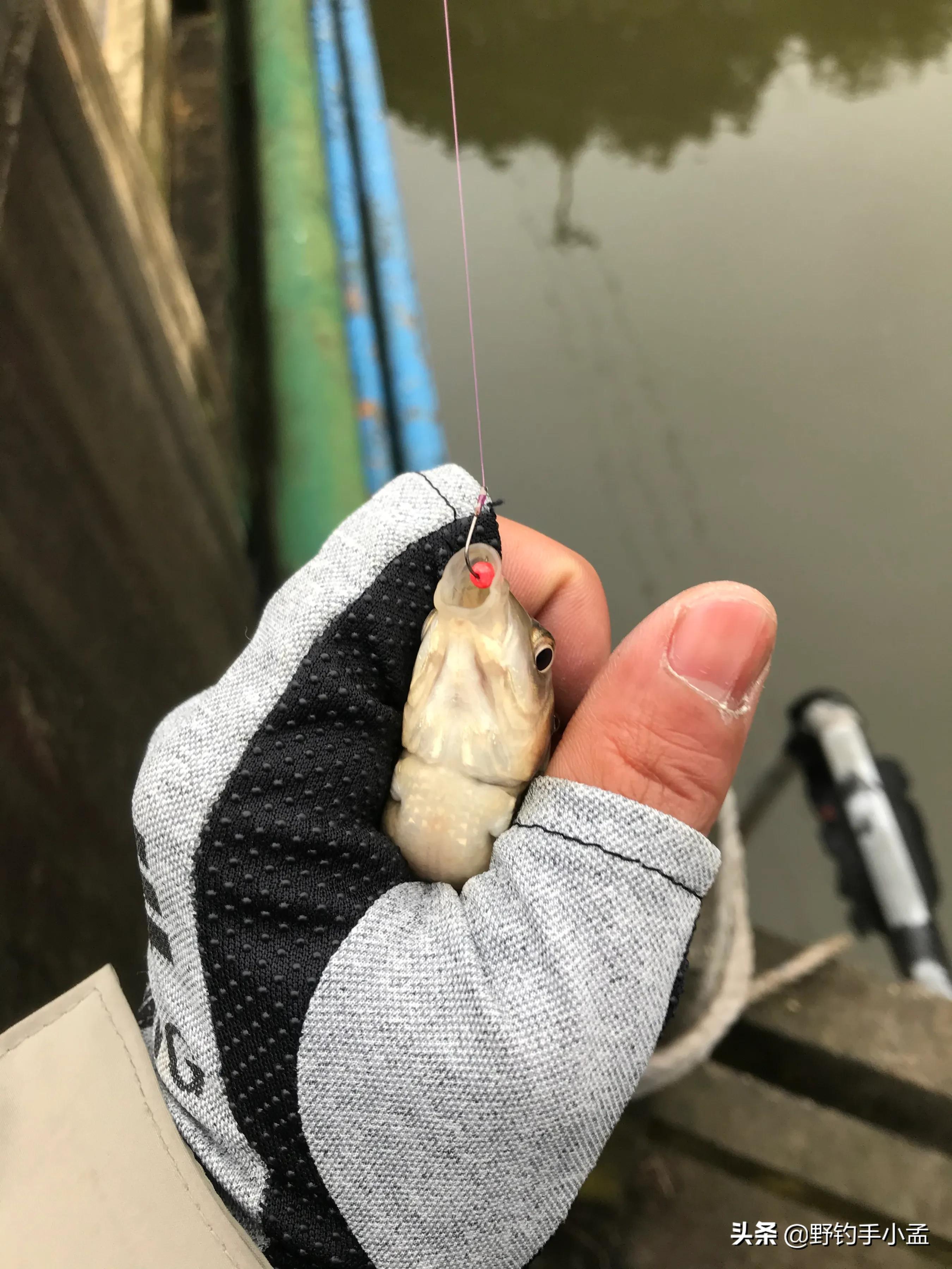正确泡沫珠钓法图解,泡沫珠珠钓鱼方法