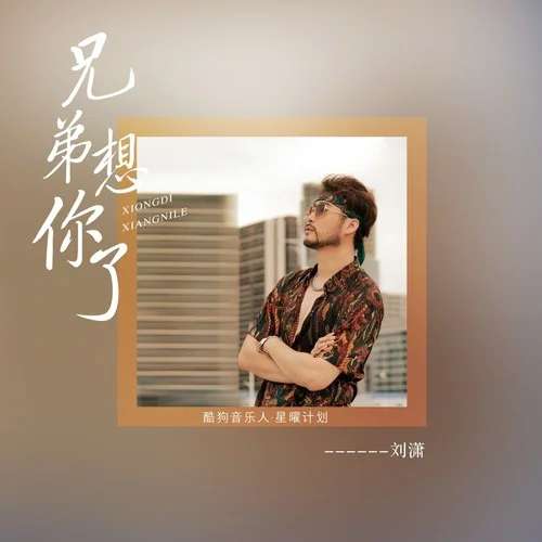 兄弟想你了原版歌词,兄弟想你了是什么歌的歌词