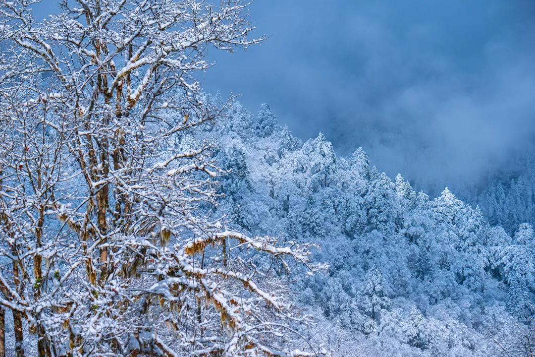 循着雪的方向，喇叭河颜值不输北欧，耍法多到让人尖叫