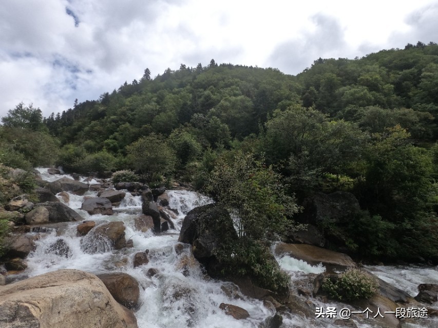 茂名骑行*藏西**：辞别醉美鲁朗，走进林芝新城。