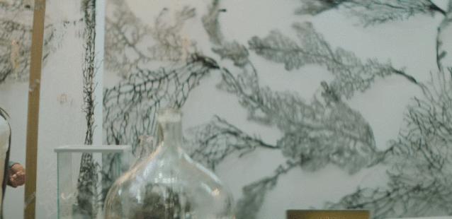 爱马仕最新的橱窗设计,手工制作的梦幻艺术空间