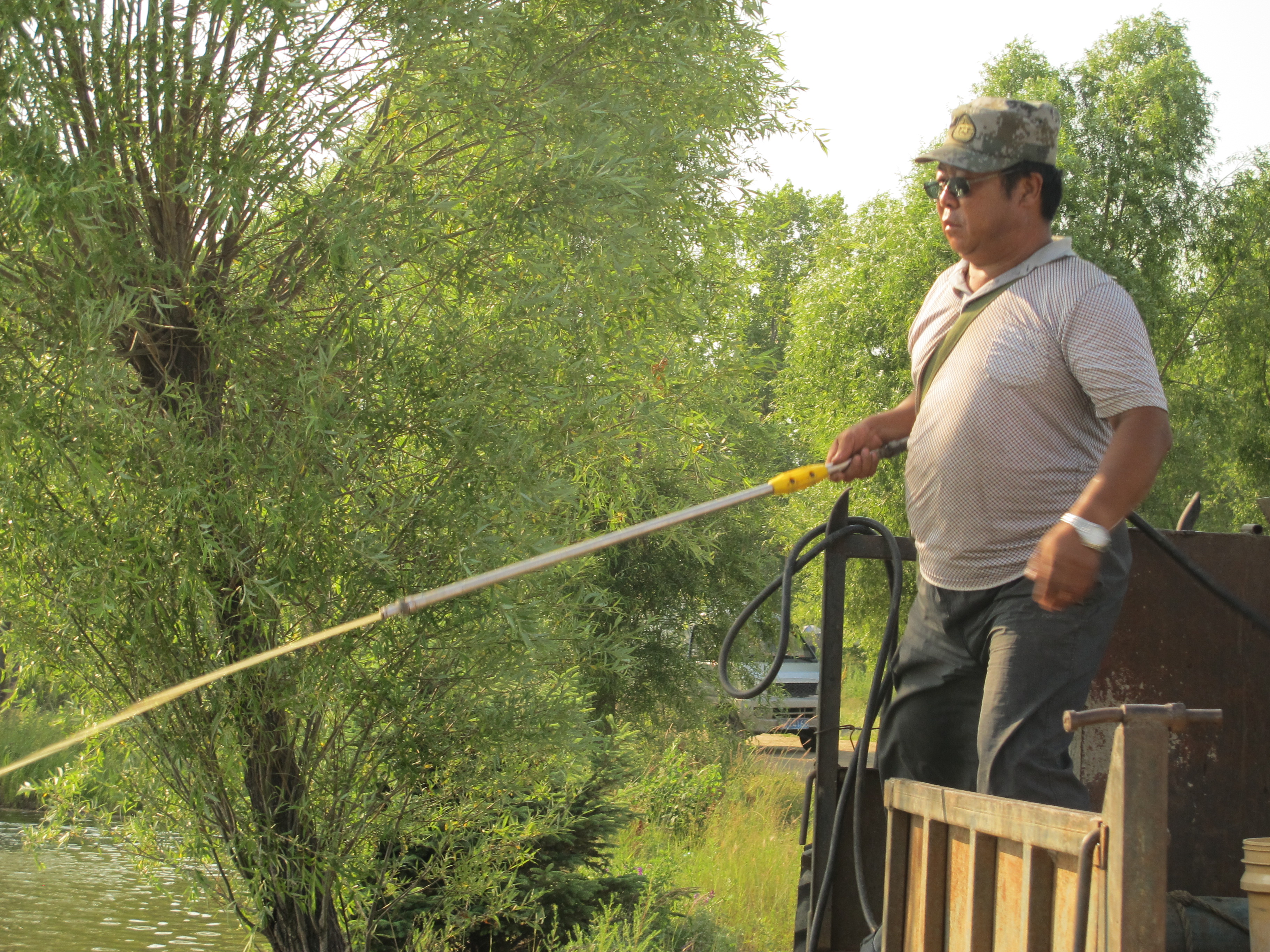 兴凯湖的大白鱼图片,兴凯湖纯野生大白鱼