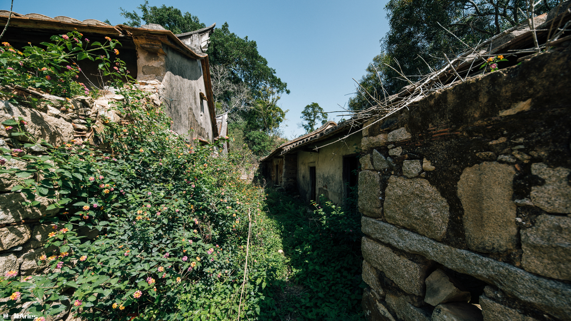 中国最美6大海滨城市你去过几个,中国最美海滩平潭岛
