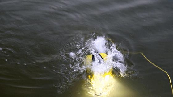 潜行多睿教程,潜行多睿