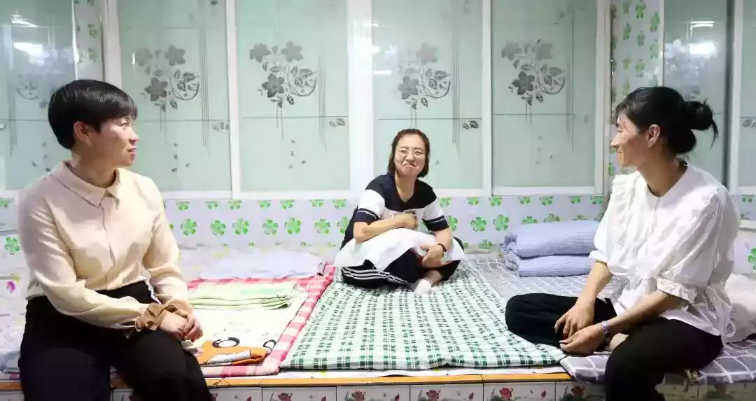 奈曼三花猫,奈曼三金