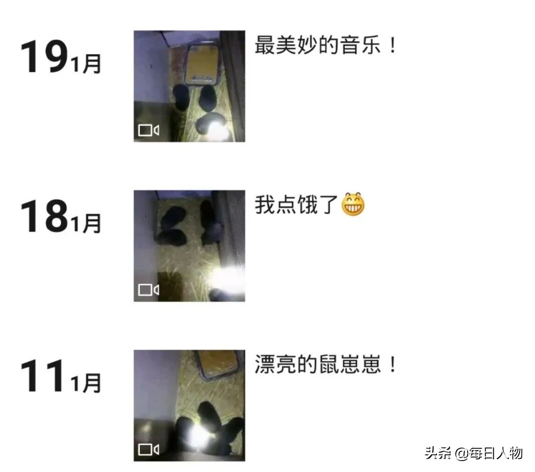 竹鼠华农现状,竹鼠华农兄弟怎么样了