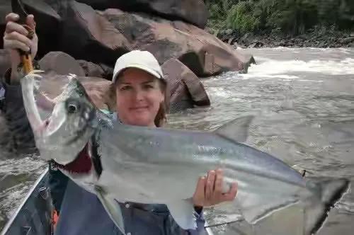 世界上5大致命鱼,世界上最危险六大鱼