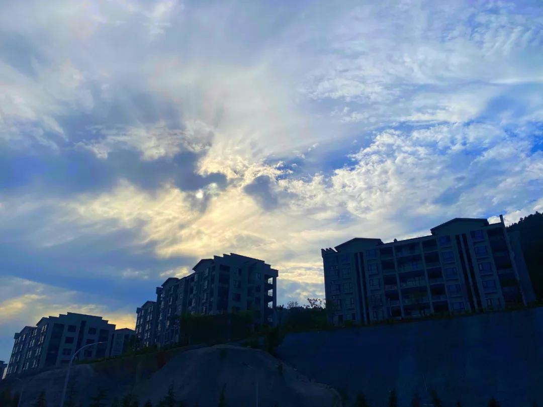 春树影舍畅享年卡，电影酒店+民宿，七夕送爱奇艺年卡会员等豪礼