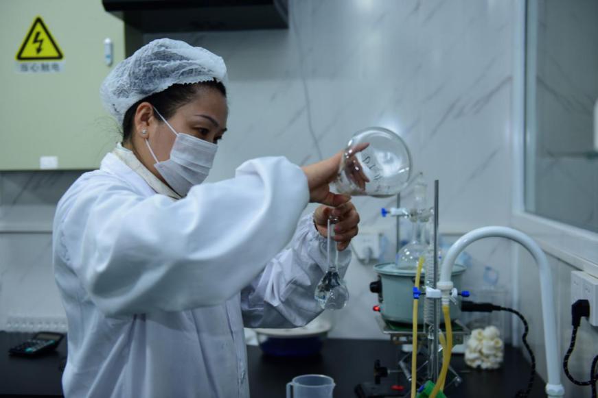 甯濇祮鐢熺墿涓婃捣,甯濇祮鐢熺墿