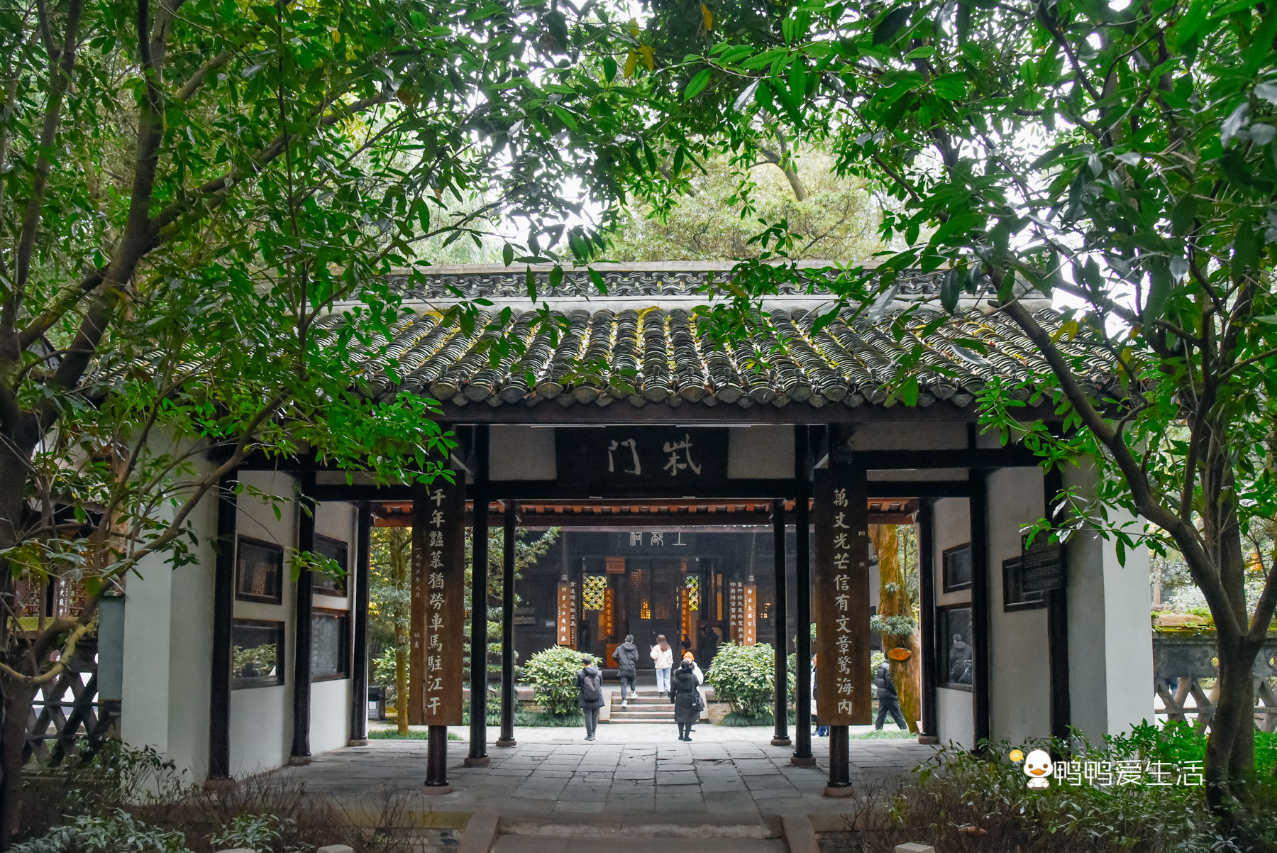 成都杜甫一日游,四川成都旅游杜甫草堂