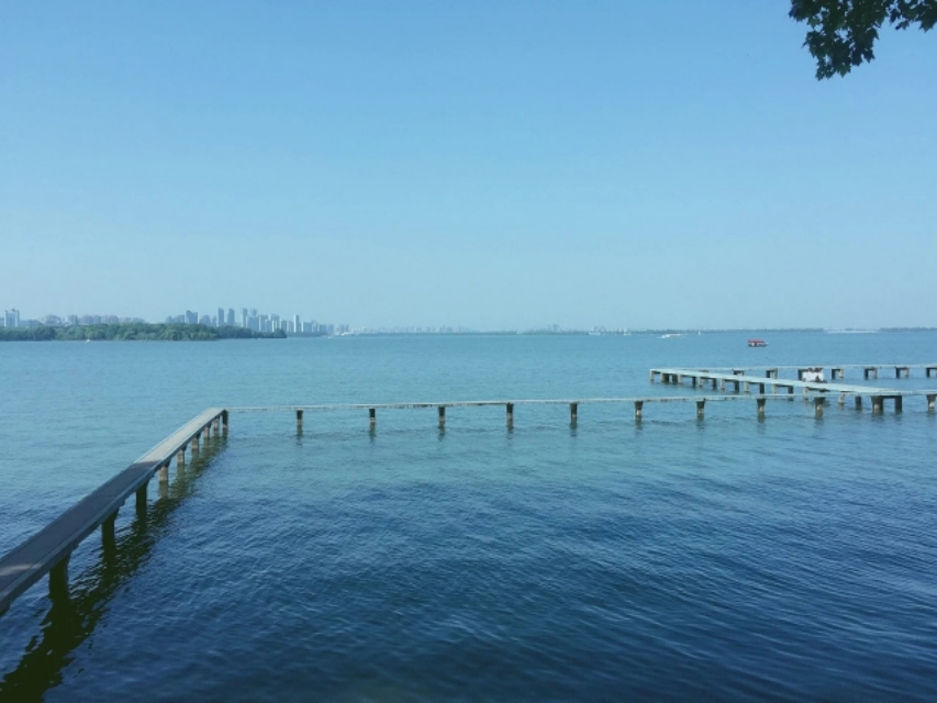 杜甫与李龟年：Seeyouagain，与你重逢在江南