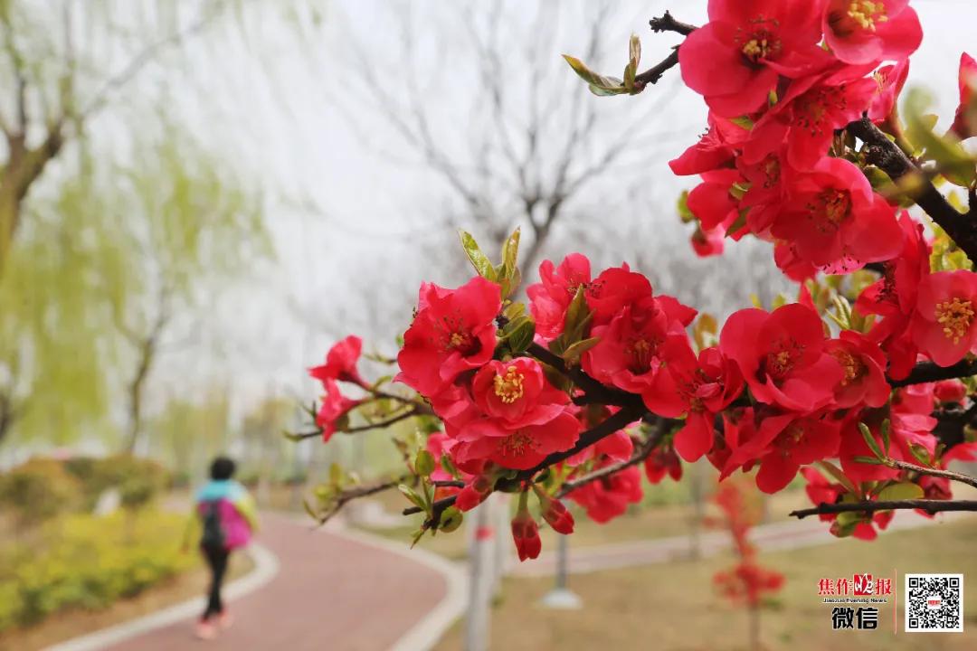 ​养眼！“棠贵妃”四姐妹笑起来真好看！