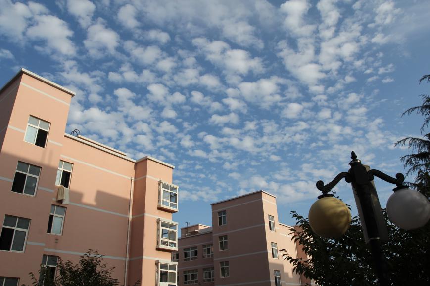 自修复安全科技轮胎,防扎轮胎黑科技