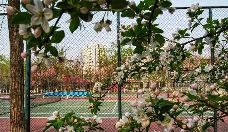 天津公办3+2本科学校有哪些,天津市专升本天津师范大学